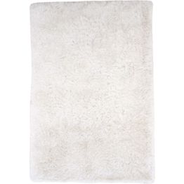 Matto Venture Home Grace 300x400cm valkoinen