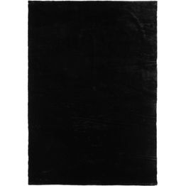 Matto Venture Home Nina 200x300cm musta