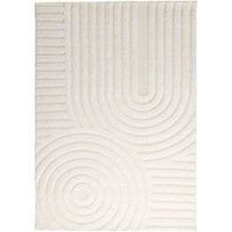 Matto Venture Home Nikita