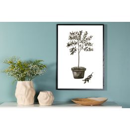 Juliste Venture Home Olive, vihreä