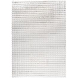 Matto Venture Home Novis, 200x290cm