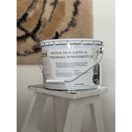 Kostean tilan katto- ja pohjamaali Aarni, himmeä, 9l, valkoinen