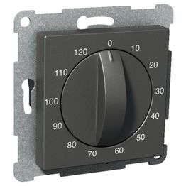 Ajastin mekaaninen 0-120 min antrasiitti Exxact