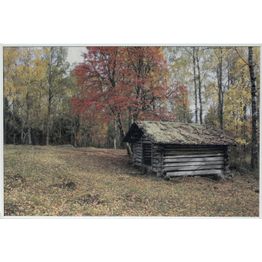 Akustiikkataulu Yeseco Still T 60x40 cm valkoiset puukehykset eri kuvia (myös omalla kuvalla)