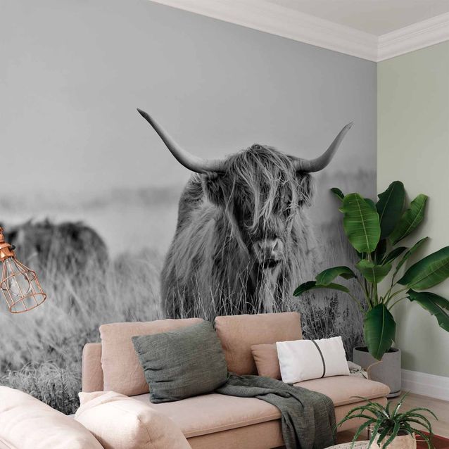 CONFIGURABLE PÄÄTUOTE - Valokuvatapetti - Highland Cattle 05666