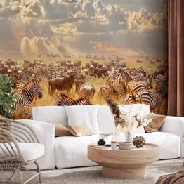 Kuvatapetti Artgeist Zebra Land, eri vaihtoehtoja