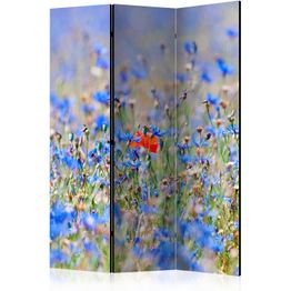 Sermi Artgeist A sky-colored meadow - cornflowers, eri vaihtoehtoja