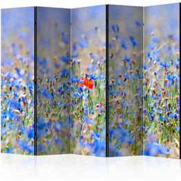 Sermi Artgeist A sky-colored meadow - cornflowers II, eri vaihtoehtoja