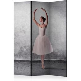 Sermi Artgeist Ballerina in Degas paintings style, eri vaihtoehtoja