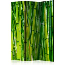 Sermi Artgeist Bamboo Forest, eri vaihtoehtoja