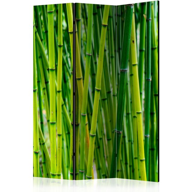 CONFIGURABLE PÄÄTUOTE - Sermi - Bamboo Forest 45663