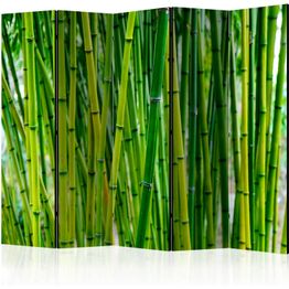 Sermi Artgeist Bamboo Forest II, eri vaihtoehtoja