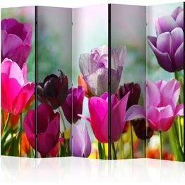 Sermi Artgeist Beautiful Tulips II, eri vaihtoehtoja