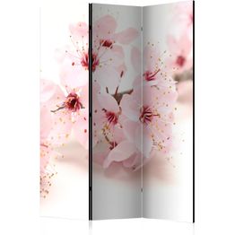 Sermi Artgeist Cherry Blossom, eri vaihtoehtoja