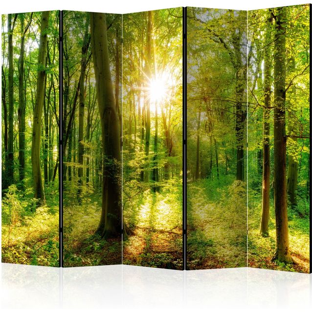 CONFIGURABLE PÄÄTUOTE - Sermi - Forest Rays II 48795