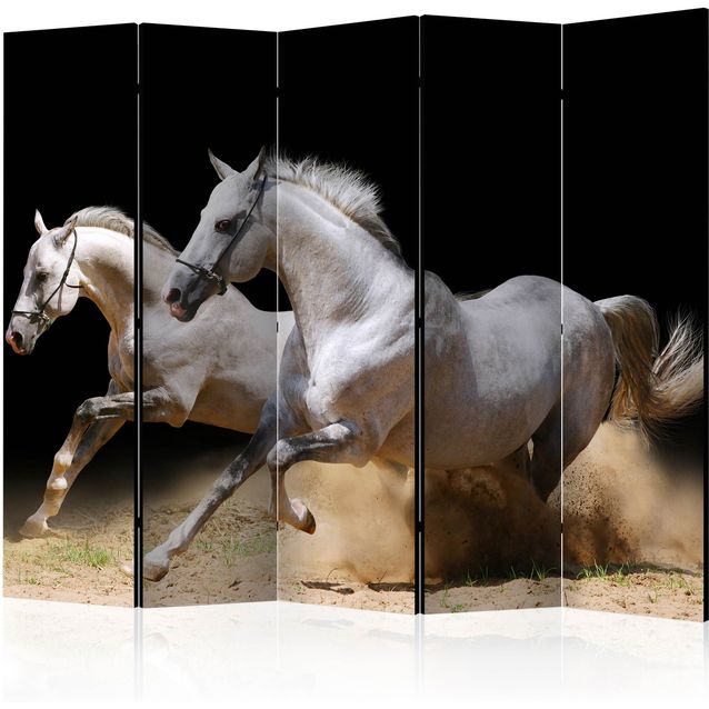 CONFIGURABLE PÄÄTUOTE - Sermi - Galloping horses on the sand II 80048
