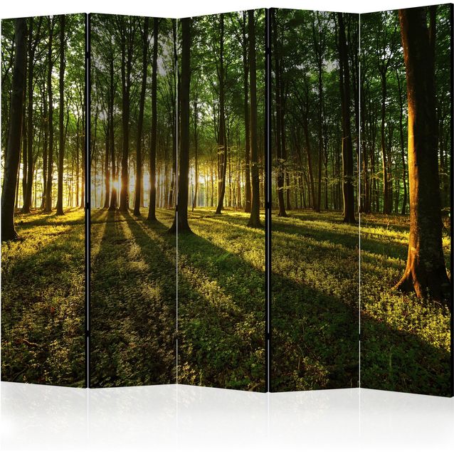 CONFIGURABLE PÄÄTUOTE - Sermi - Morning in the Forest II 20631