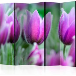 Sermi Artgeist Purple spring tulips II, eri vaihtoehtoja