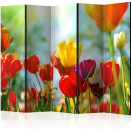 Sermi Artgeist Spring Tulips II, eri vaihtoehtoja