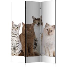 Sermi Artgeist Sweet Cats, eri vaihtoehtoja