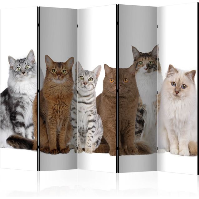CONFIGURABLE PÄÄTUOTE - Sermi - Sweet Cats II 71527