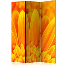 Sermi Artgeist Yellow gerbera daisies, eri vaihtoehtoja