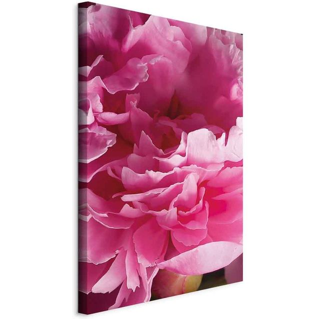 CONFIGURABLE PÄÄTUOTE - Taulu - Blossom of Beauty (1-part) - Pink Peony Flower Embraced by Nature 23304