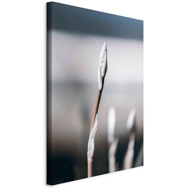 CONFIGURABLE PÄÄTUOTE - Taulu - Botanical Minimalism (1 Part) Vertical 88759