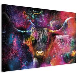 Taulu Artgeist Colorful Bull (1 Part) Wide, eri vaihtoehtoja