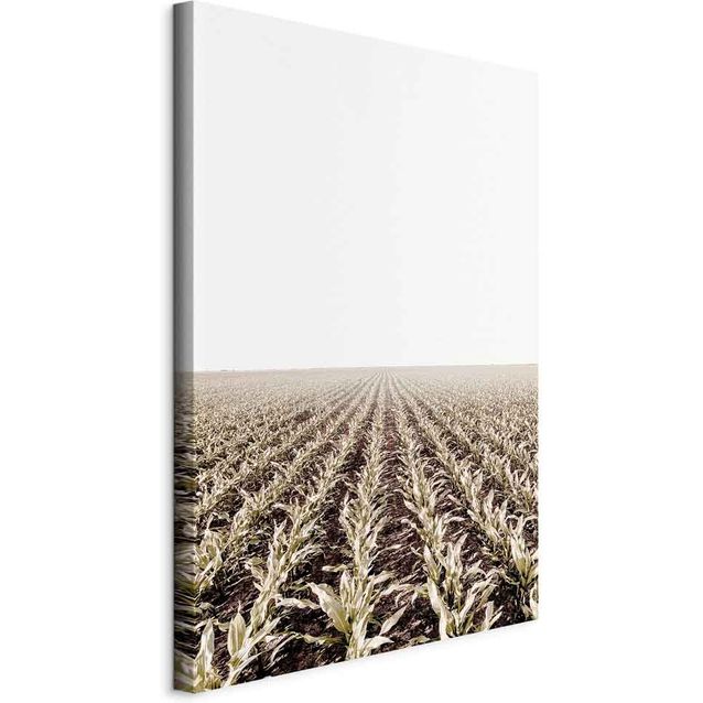 CONFIGURABLE PÄÄTUOTE - Taulu - Corn Field (1 Part) Vertical 75351