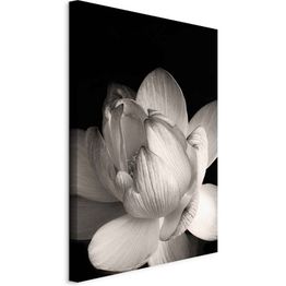 Taulu Artgeist Delicacy of Petals in Nature (1-part) - Flower in Black and White, eri vaihtoehtoja