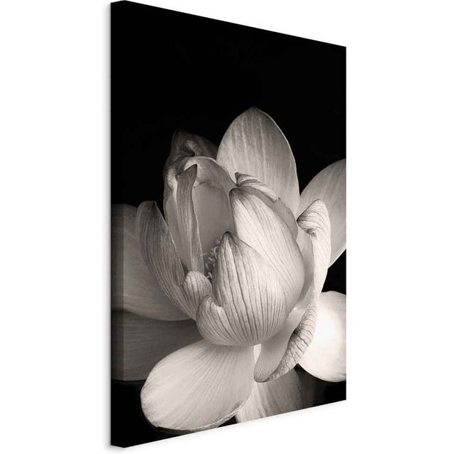 CONFIGURABLE PÄÄTUOTE - Taulu - Delicacy of Petals in Nature (1-part) - Flower in Black and White 97629