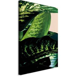 Taulu Artgeist Dieffenbachia (1 Part) Vertical, eri vaihtoehtoja