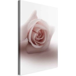 Taulu Artgeist Floral Glamour Glow (1-part) - Delicate and Pastel Pink Rose, eri vaihtoehtoja