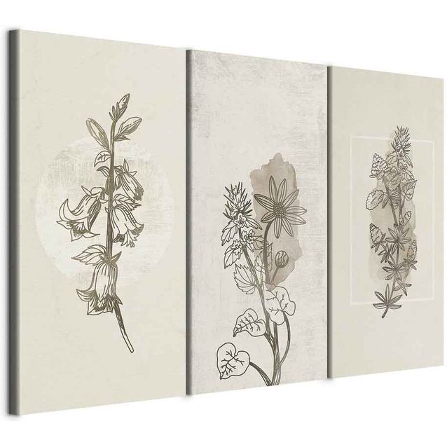 CONFIGURABLE PÄÄTUOTE - Taulu - Herbarium (3 Parts) 77406