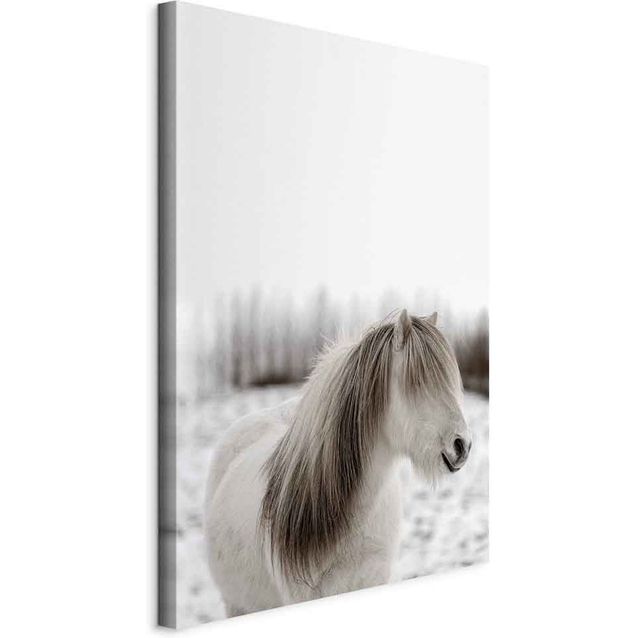 CONFIGURABLE PÄÄTUOTE - Taulu - Horse Mane (1 Part) Vertical 72664