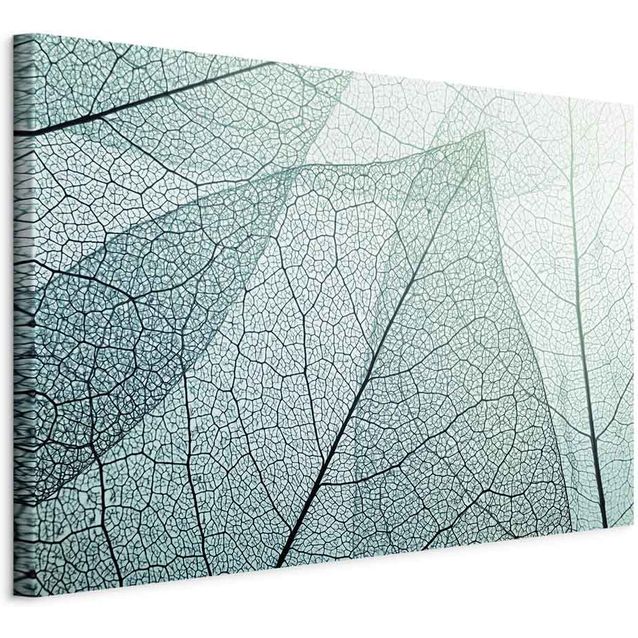 CONFIGURABLE PÄÄTUOTE - Taulu - Macroflora (1 Part) Wide 92419