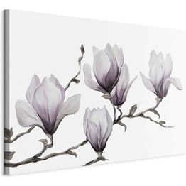 Taulu Artgeist Painted Magnolias (1 Part) Wide, eri vaihtoehtoja