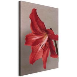 Taulu Artgeist Red Flower (1 Part) Vertical, eri vaihtoehtoja