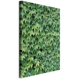 Taulu Artgeist Thick Ivy (1 Part) Vertical, eri vaihtoehtoja