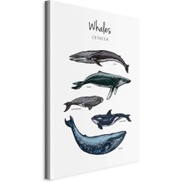 Taulu Artgeist Whales (1 Part) Vertical, eri vaihtoehtoja