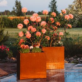 Kukkaruukku GrillSymbol Petteri Wiimaa Clara L, 50x50x50cm