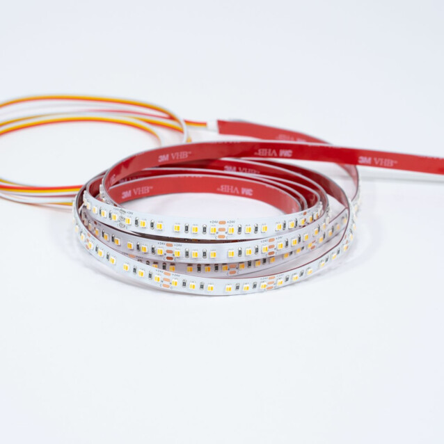 LED-nauha FTLight White Premium CCT 3528 24V IP20 120led/m 19,2W/m 3000-6000K 5 metrin rulla katkaistavissa