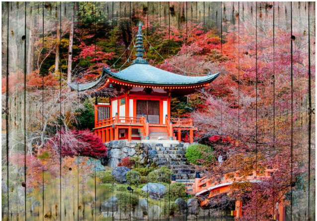 Sisustustarra Artgeist Autumnal Japan 315x441cm