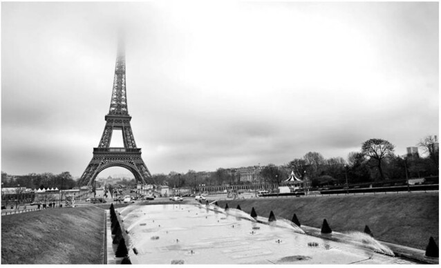 Kuvatapetti Artgeist Paris: Eiffel Tower 270x450cm