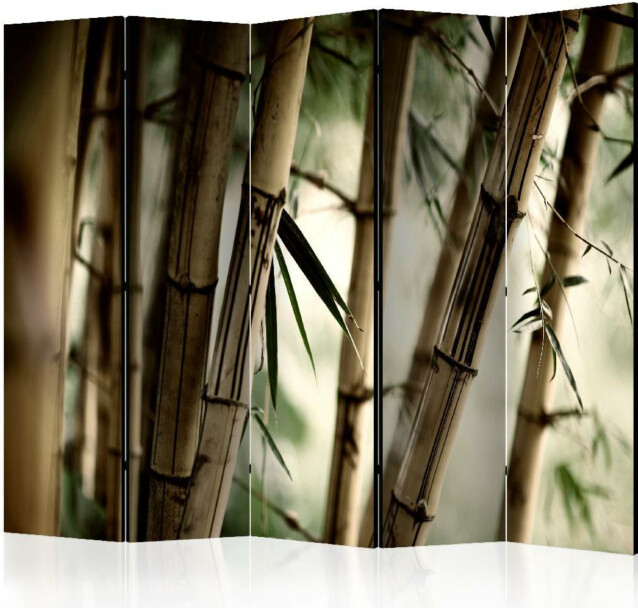 Sermi Artgeist Fog and bamboo forest II 225x172cm