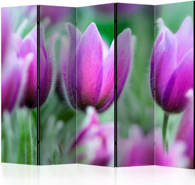 Sermi Artgeist Purple spring tulips II 225x172cm