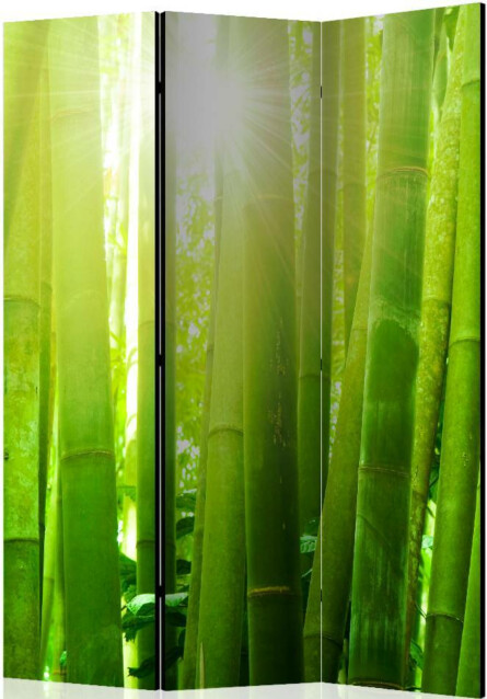 Sermi Artgeist Sun and bamboo II 135x172cm