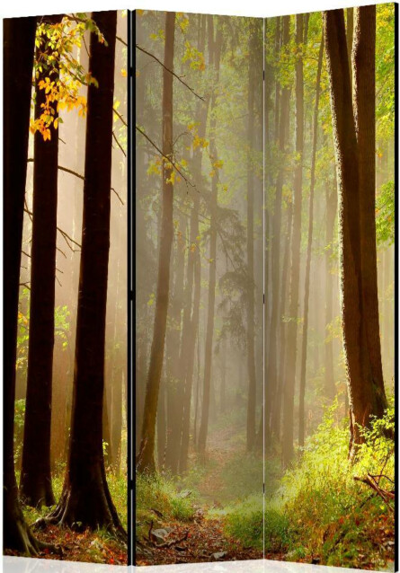 Sermi Artgeist Mysterious forest path 135x172cm