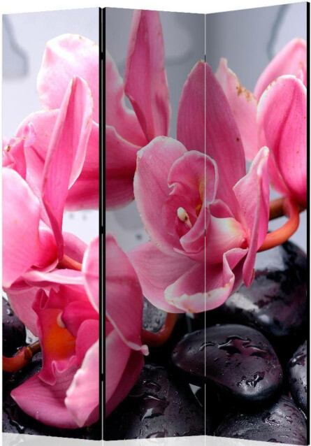 Sermi Artgeist Orchid flowers with zen stones 135x172cm